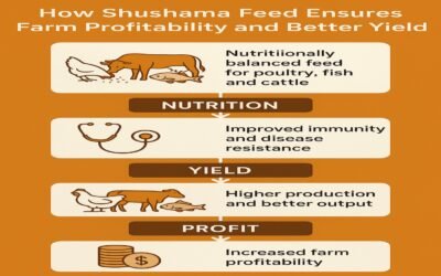 How Shushama Feed Ensures Farm Profitability and Better Yield