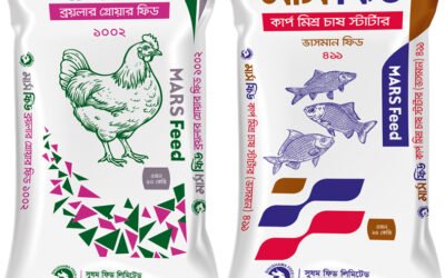 Expert Team Behind Shushama Feed’s Success